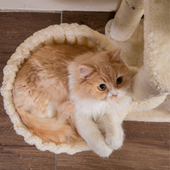 MWPO 35.8“ Multi-Functional Cat Tree B838 MWPO 35.8“ Multi-Functional Cat Tree B838