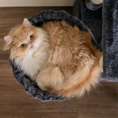 MWPO 56.1” Large Cat Tree B839 MWPO 56.1” Large Cat Tree B839