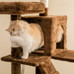 MWPO 70.1" Multi-Level Large Cat Tree TX00130 MWPO 70.1" Multi-Level Large Cat Tree TX00130