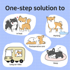 Disposable Dog Diaper Liners Booster Pads for Male & Female Dogs - 100ct Disposable Dog Diaper Liners Booster Pads for Male & Female Dogs - 100ct