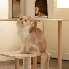 MWPO 63.8" Luxury Modern Wood Cat Tree WS7000 MWPO 63.8" Luxury Modern Wood Cat Tree WS7000