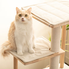 MWPO 63.8" Luxury Modern Wood Cat Tree WS7000 MWPO 63.8" Luxury Modern Wood Cat Tree WS7000